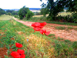 wandelvakantie Frankrijk bij la Tourelle